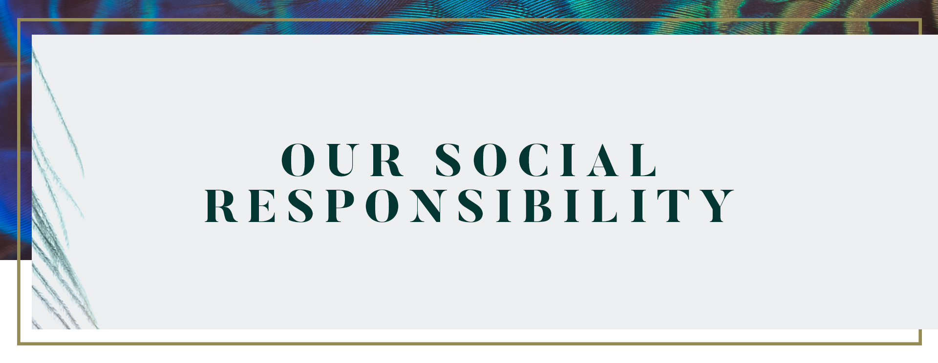 pcp-he-sustainability-banner.jpg