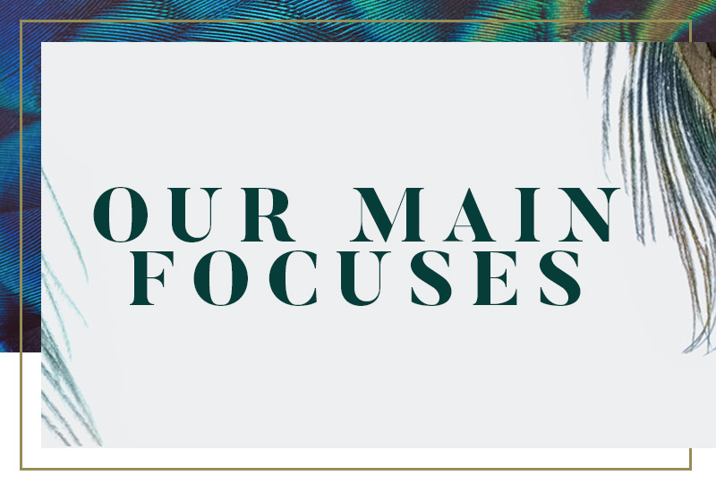 pcp-he-sustainability-sb-focus.jpg